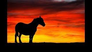 Anton Glackin - That Dark Horse