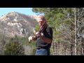 Little Rockin Jigs and Dances