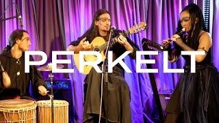 Perkelt - Robin (Live at Phoenix Session IV)
