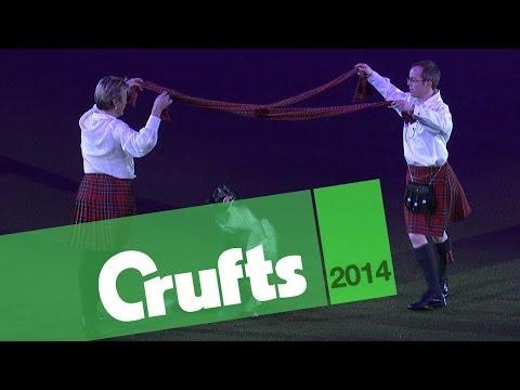 Heelwork to Music | Crufts 2014