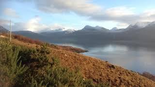 Nina MacKellar - The Rowan Tree sung by Nina Mackellar