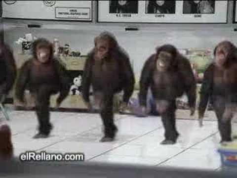 Monkey River Dance